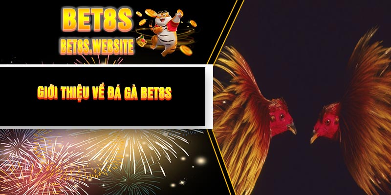 Giới Thiệu Về Đá Gà BET8S