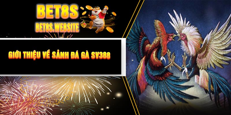 Giới Thiệu Về Sảnh Đá Gà SV388