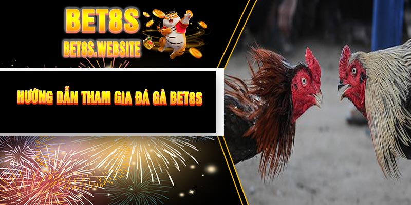 Hướng Dẫn Tham Gia Đá Gà BET8S