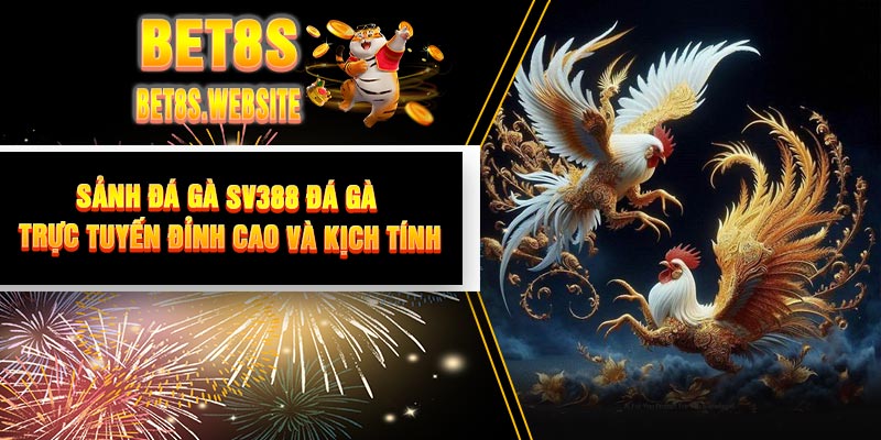 Sảnh Đá Gà SV388 - Đá Gà Trực Tuyến Đỉnh Cao Và Kịch Tính
